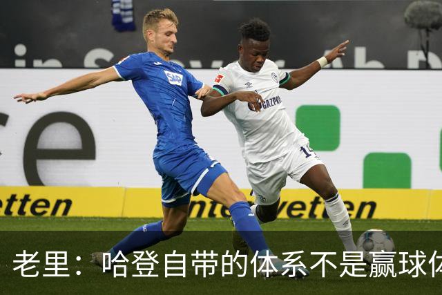 老里：哈登自带的体系不是赢球体系 他没有给队友足够的空间发挥